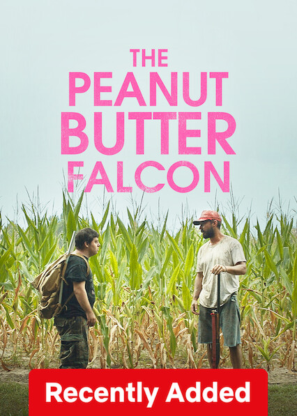 The Peanut Butter Falcon on Netflix USA